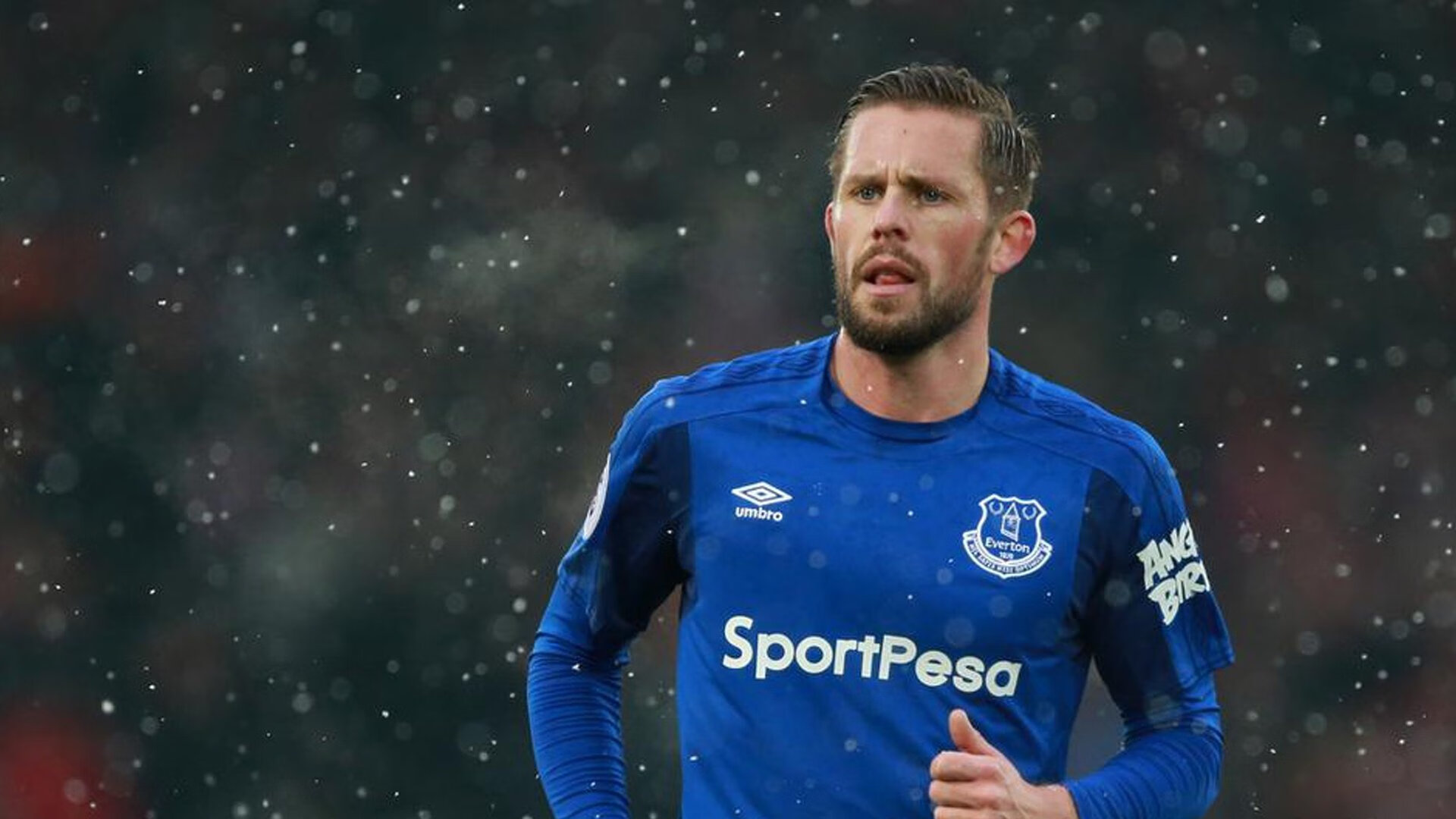 狼队防守体系严密，金丝雀欲保级成功，jin狼